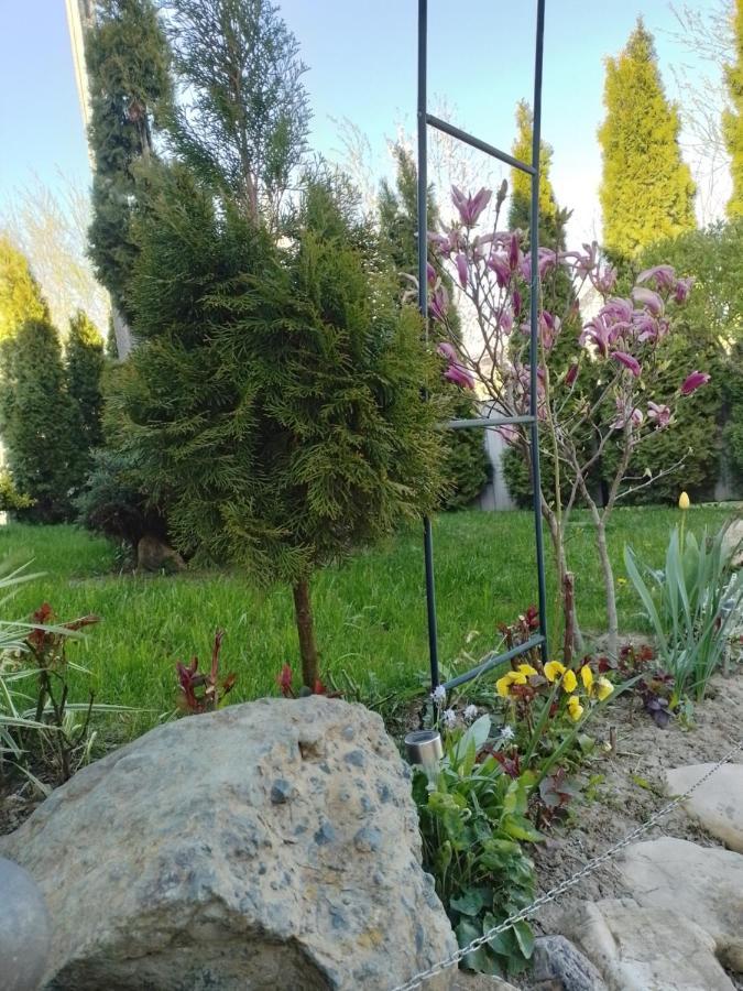 Casa Mamei ซูชาวา ภายนอก รูปภาพ