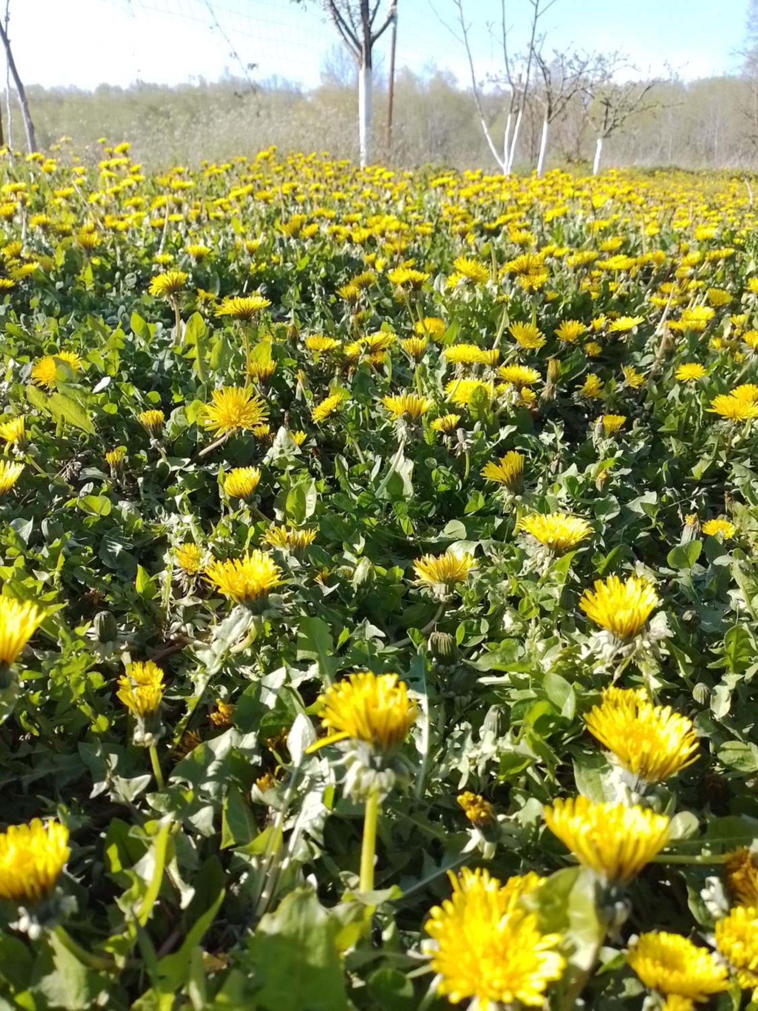 Casa Mamei ซูชาวา ห้อง รูปภาพ