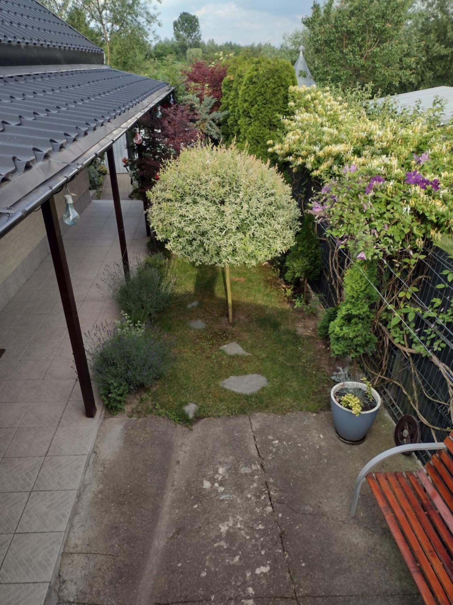 Casa Mamei ซูชาวา ภายนอก รูปภาพ